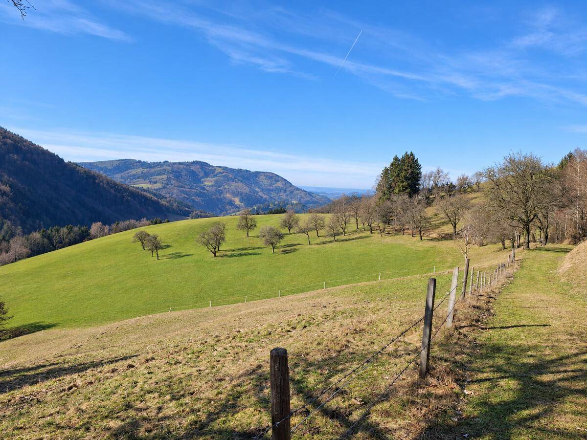 Weitläufige grüne Wiesen mit Obstbäumen und einem Zaun im Vordergrund unter strahlendem Himmel.