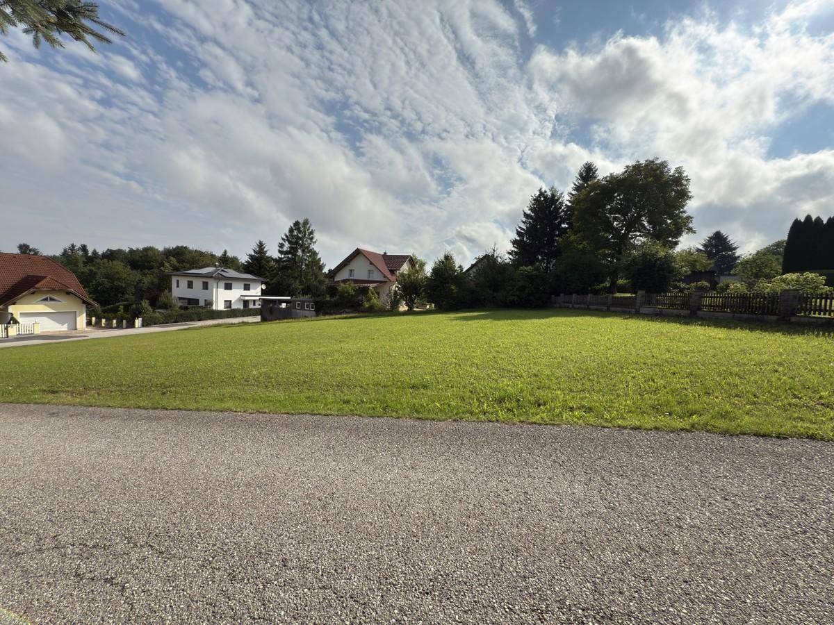 Blick über eine große Rasenfläche auf eine Wohnsiedlung mit Häusern und viel Grün.