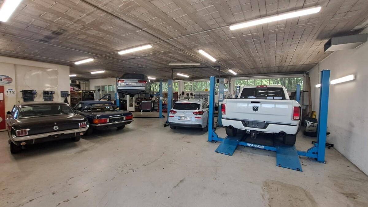 Geräumige Autowerkstatt mit mehreren Hebebühnen, Fahrzeugen und einer robusten Betonbodenfläche.