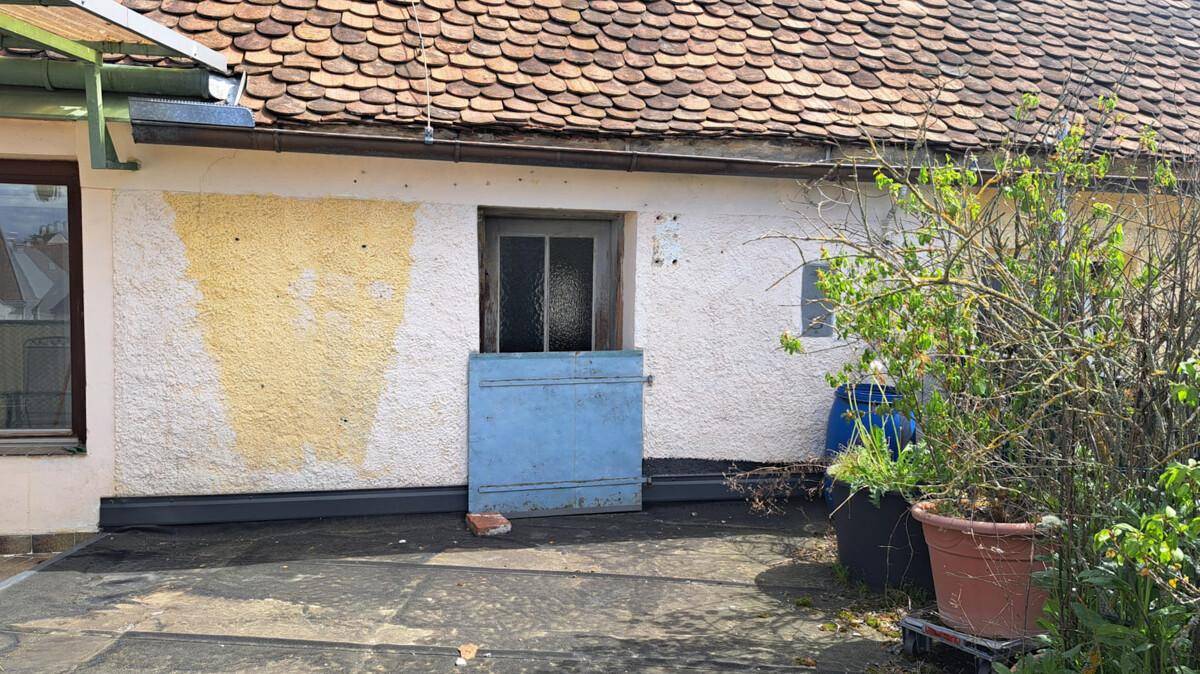 Außenansicht eines Gebäudeteils mit blauer Tür, Fenster und einem Flachdachbereich mit Pflanzen.