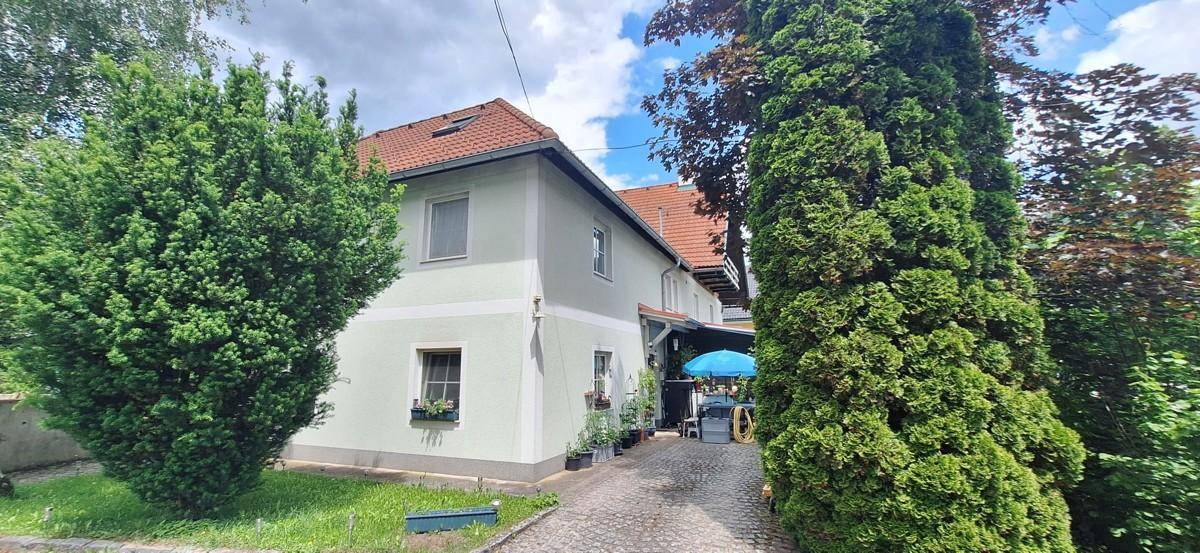 Ansicht des Hauses von der Einfahrt aus, umgeben von hohen, dichten Bäumen und Sträuchern.