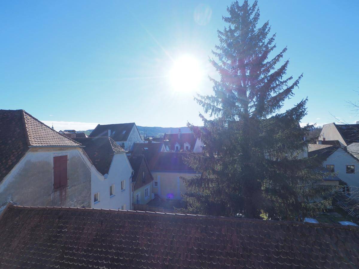 Sonniger Ausblick über die Dächer der Stadt mit einem großen Nadelbaum im Vordergrund.