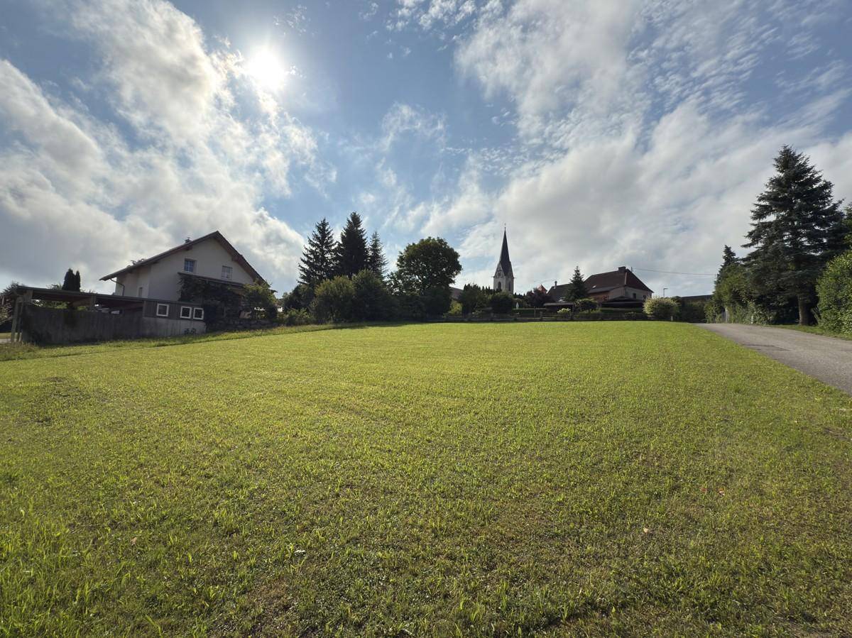 Sonnige Wiesenlandschaft mit Wohnhäusern und einem Kirchturm in der Ferne unter blauem Himmel.