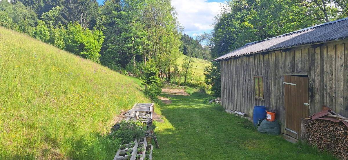 Garten 2