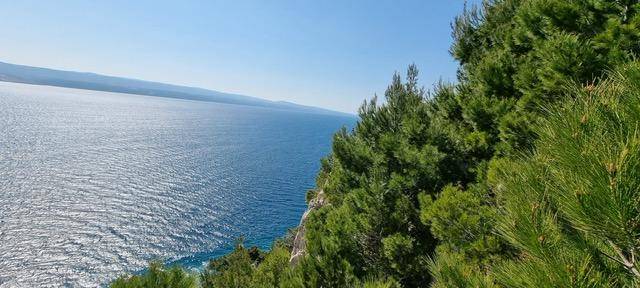 image0(4)