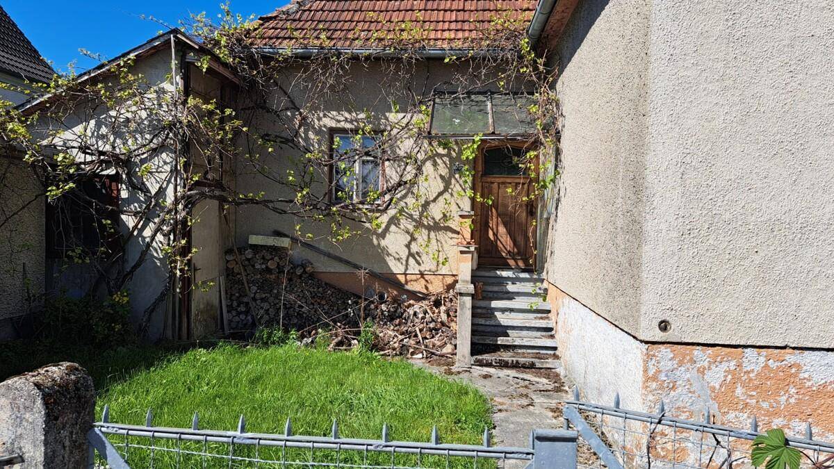Eingangsbereich des Hauses mit Holztreppe und bewachsenen Wänden.