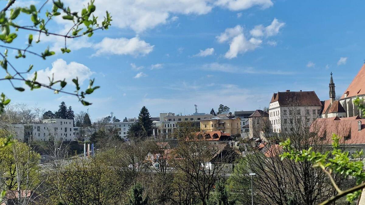Ausblick