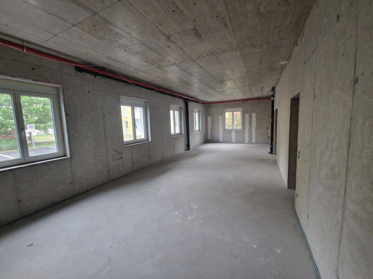 Großer, unfertiger Raum mit Betonwänden und mehreren Fenstern, ideal für individuelle Gestaltung.