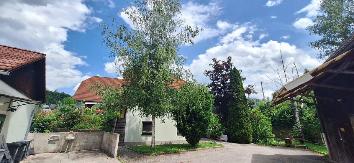 Außenbereich des Anwesens mit einem großen Baum, umgeben von Grünflächen und weiteren Gebäuden.