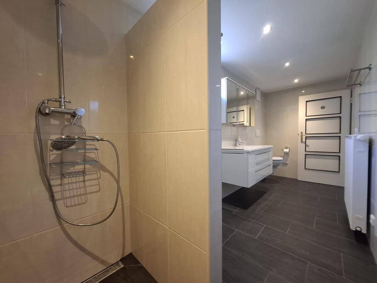 Modernes Badezimmer mit begehbarer Dusche, Waschtisch und dunklen Fliesen.