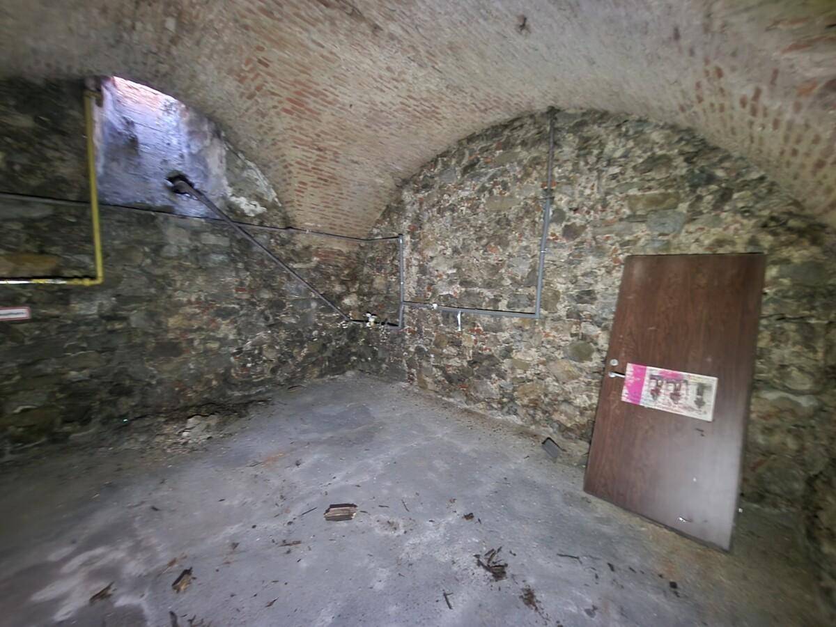 Geräumiger Kellerraum mit historischem Charme, Gewölbedecke und robusten Steinwänden.