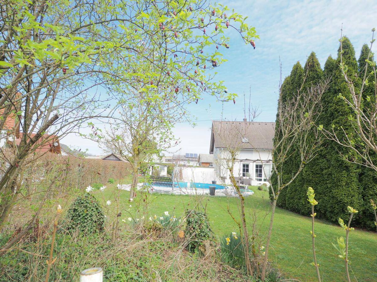 Blick durch Bäume und Sträucher auf das Haus und den Swimmingpool im Garten.
