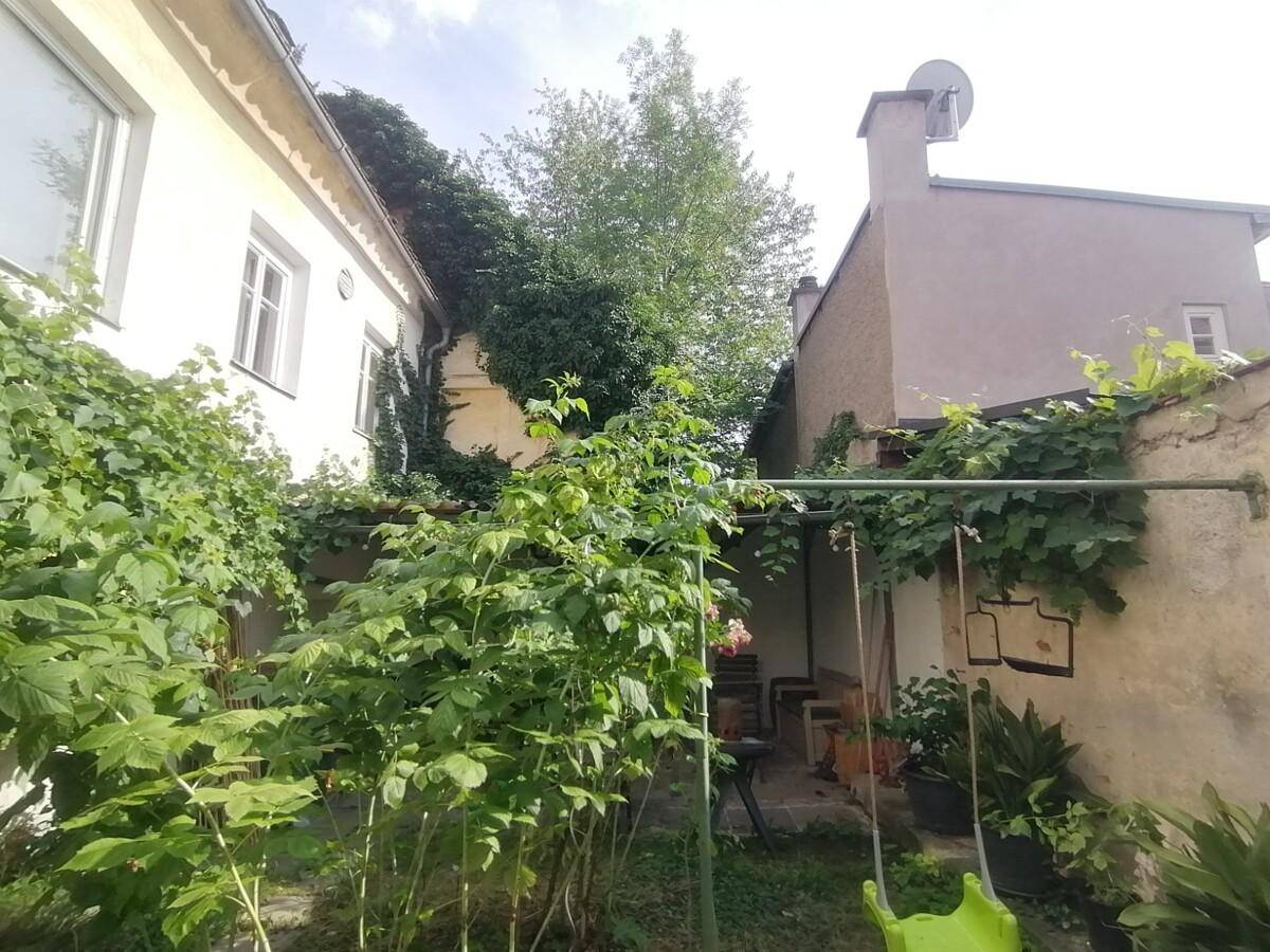 Grüner Hinterhof mit üppiger Vegetation, Bäumen und einer Schaukel, ruhig gelegen.