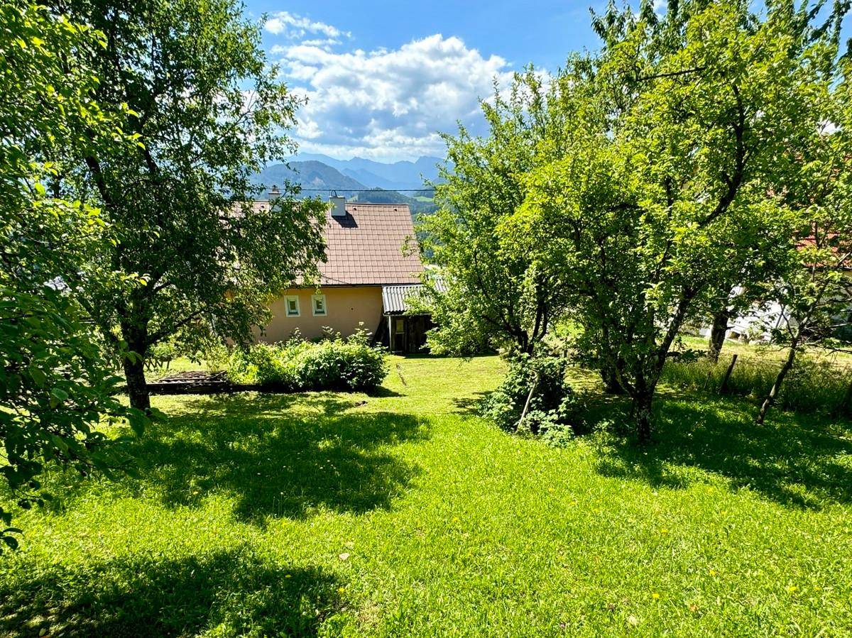Sonnige Gartenfläche mit Obstbäumen und Blick auf ein weiteres Gebäude im Hintergrund.