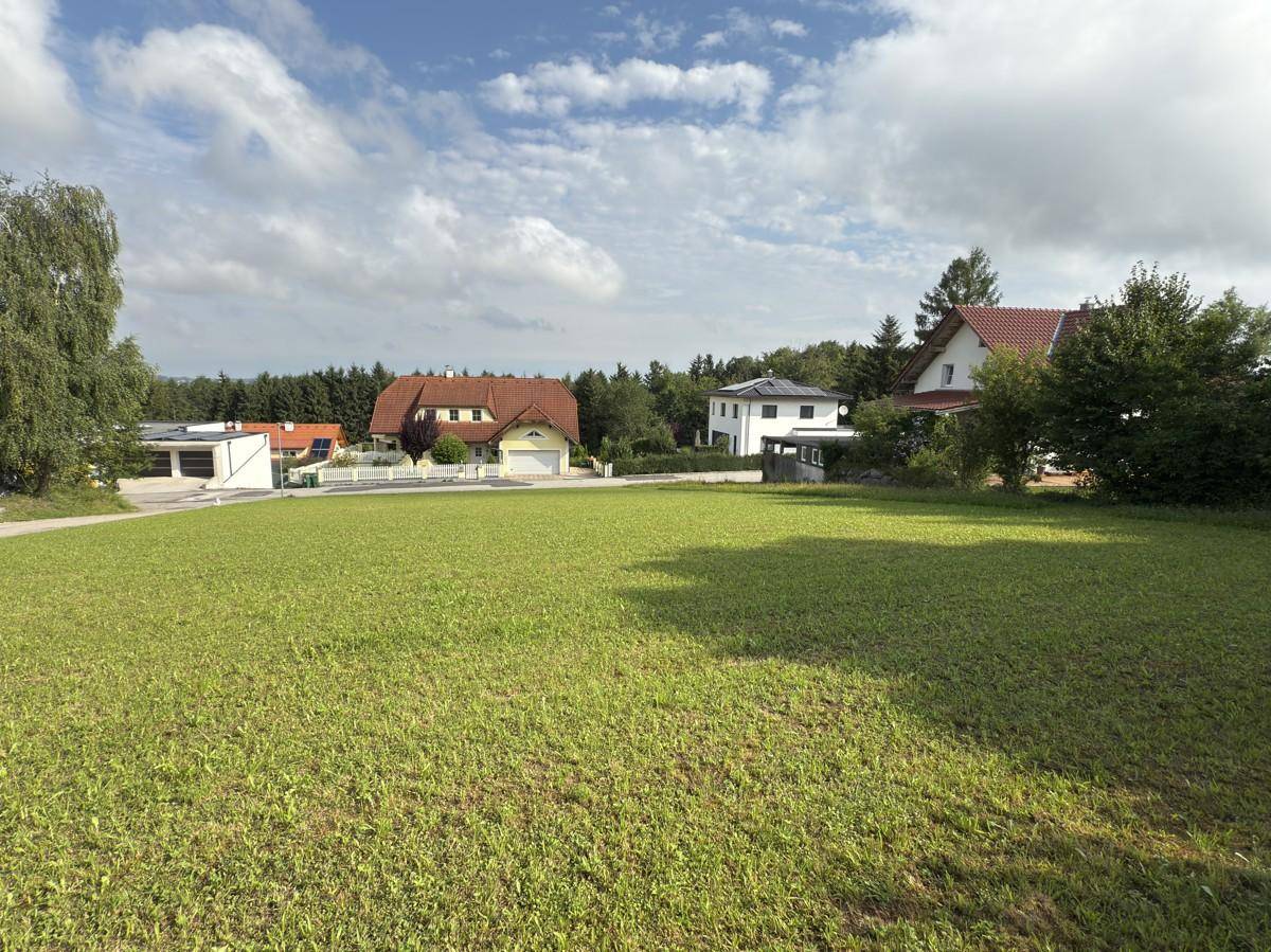 Offenes Grünland mit mehreren Wohnhäusern und Waldrand im Hintergrund, ideal für Neubau.