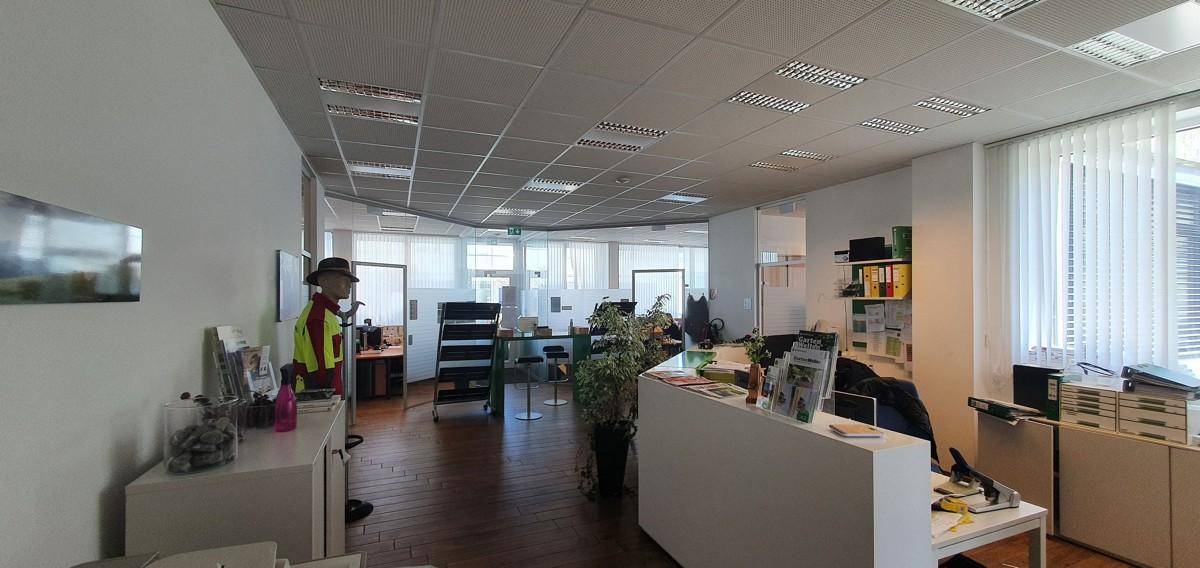 Geräumiges, offenes Büro mit mehreren Arbeitsplätzen, Holzboden und viel Tageslicht durch große Fenster.