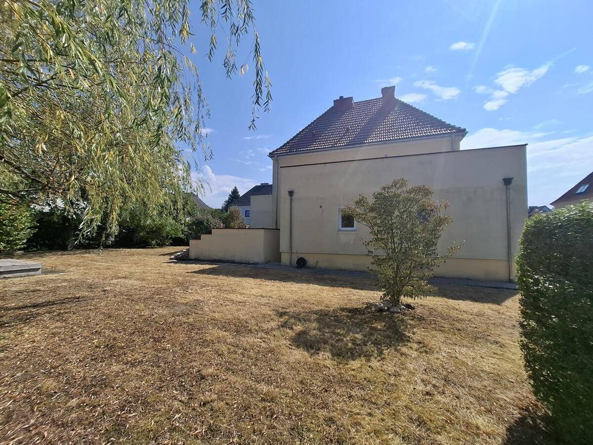 Rückseite des Hauses mit weitem, trockenem Rasen und einem Weidenbaum im Garten.