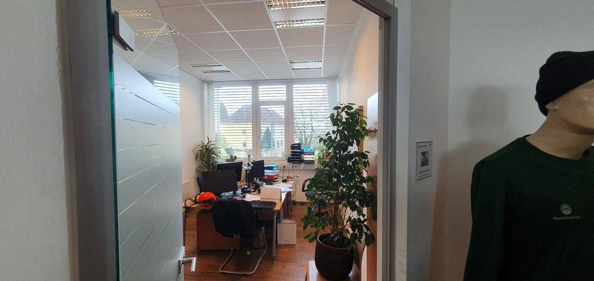 Büro mit Pflanzen, Holzboden und großen Fenstern, die viel natürliches Licht hereinlassen und eine angenehme Atmosphäre schaffen.