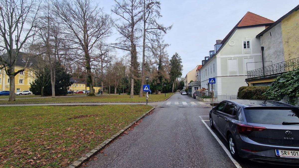 Ruhige Straße neben einem grünen Park mit hohen Bäumen und einem geparkten Auto.