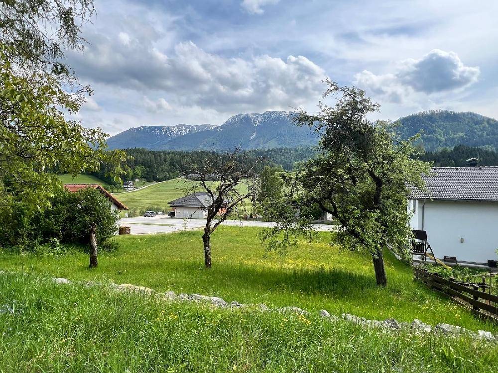 Grüne Wiesen und Bäume mit Bergen im Hintergrund unter einem teilweise bewölkten Himmel.