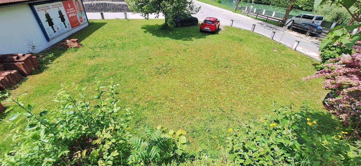 Weitläufige Rasenfläche des Gartens, umgeben von Sträuchern und mit Blick auf die Straße.