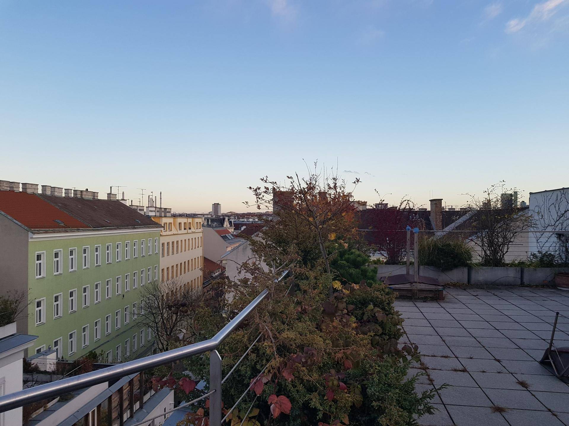 Dachterrasse mit Stadtblick und herbstlicher Bepflanzung unter klarem Himmel.