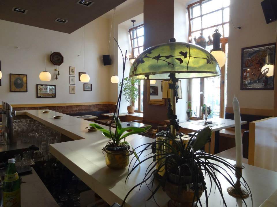 Innenansicht des Gastraums mit Bar, Pflanzen und großen Fenstern, die viel Tageslicht hereinlassen.