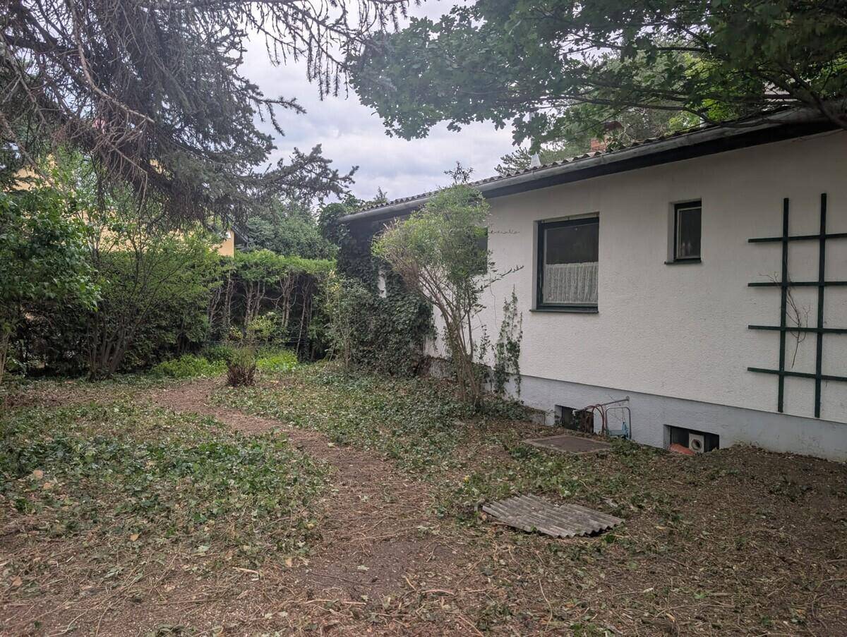 Seitenansicht des Hauses mit verwildertem Garten und dichtem Grün im Vordergrund.