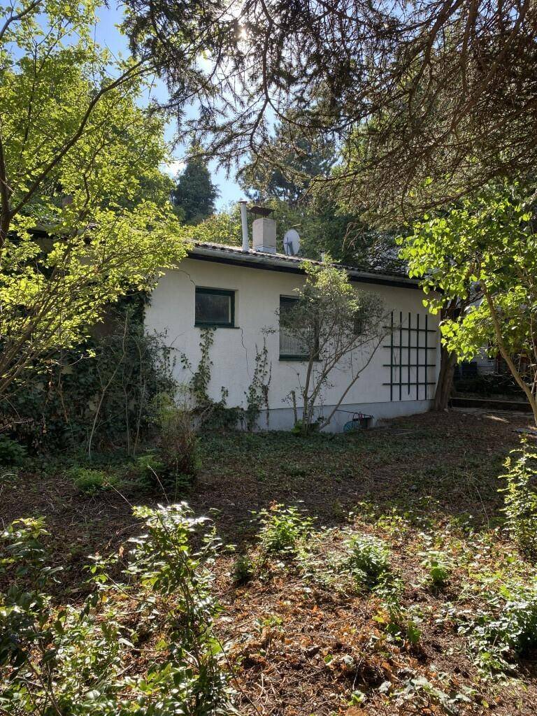 Hausfassade umgeben von dichtem Grün und einem verwilderten Garten unter sonnigem Himmel.