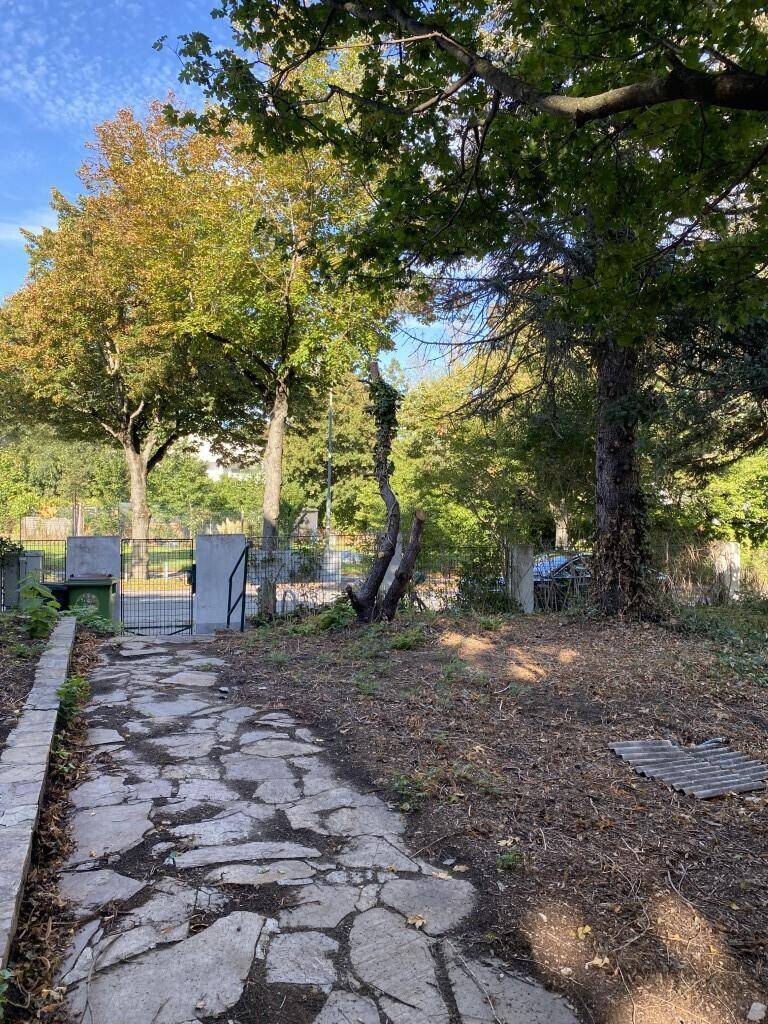Steinplattenweg führt durch den verwilderten Garten zu einem Gartentor mit viel Grün.