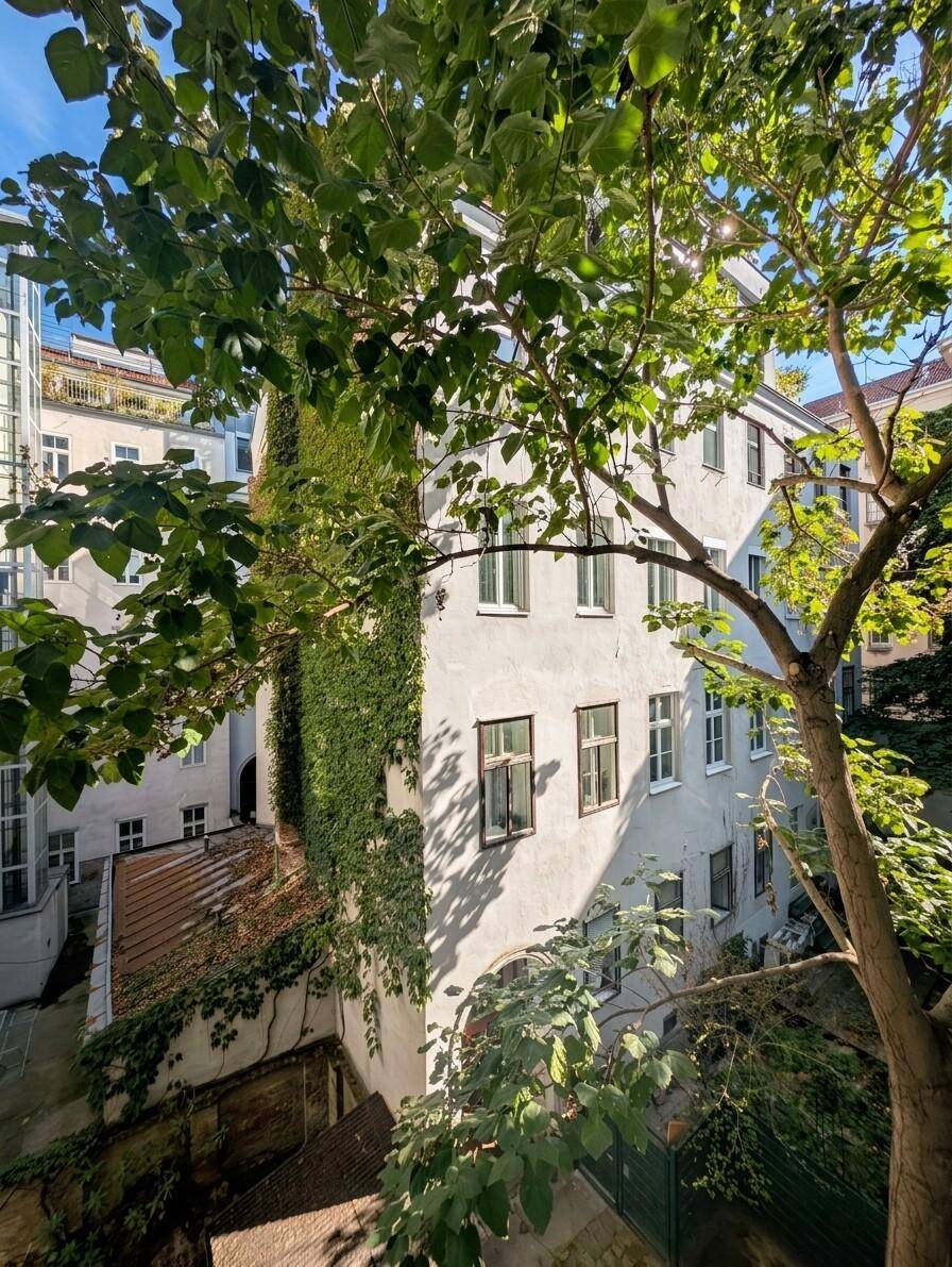 Begrünter Innenhof mit Gebäudefassaden, einem modernen Glasaufzug und viel Tageslicht.