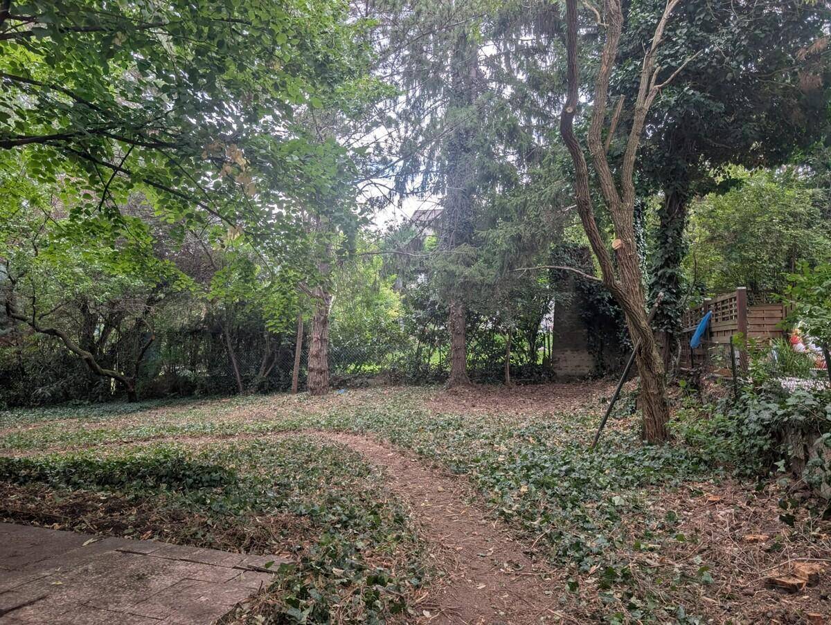 Großer, naturbelassener Garten mit dichtem Bewuchs und vielen Bäumen, ideal für Naturliebhaber.