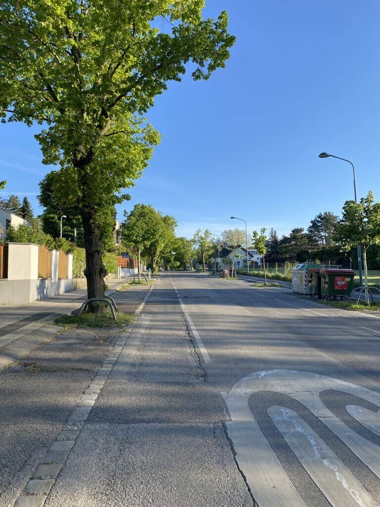 Ruhige Wohnstraße mit Bäumen, Bürgersteig und Häusern im Hintergrund an einem sonnigen Tag.