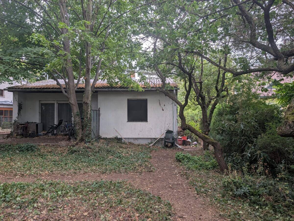 Rückseite des Hauses mit kleiner Terrasse und verwildertem Gartenbereich unter alten Bäumen.