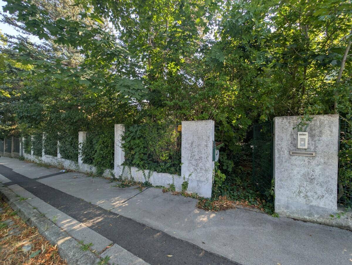 Blick auf einen bewachsenen Zaun und einen Eingangsbereich mit Briefkasten an einer ruhigen Straße.