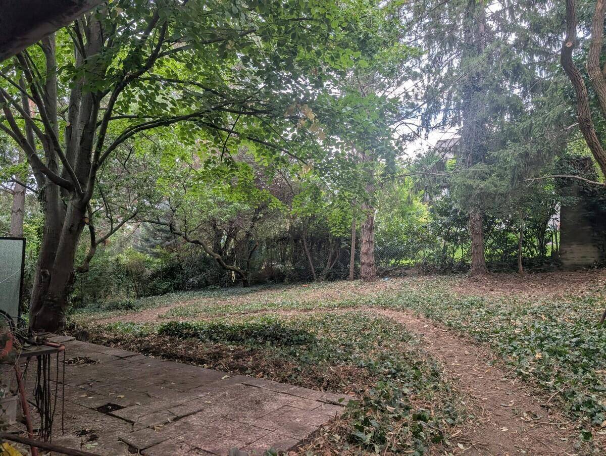 Weitläufiger Gartenbereich mit altem Baumbestand und naturnaher Bepflanzung, teilweise gepflastert.