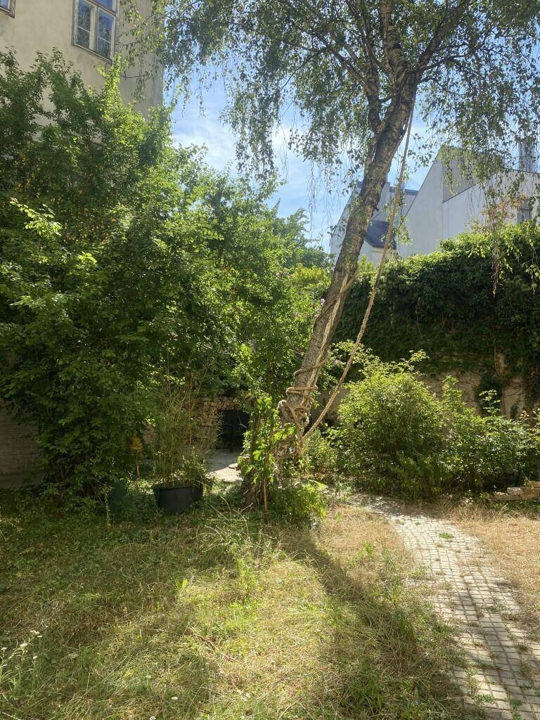 Grüner Hinterhofgarten mit Bäumen, Sträuchern und einem gepflasterten Weg unter blauem Himmel.