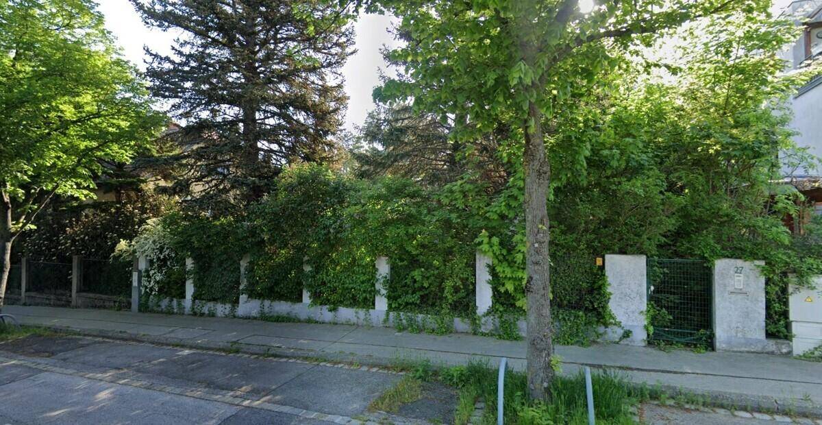 Straßenansicht eines Grundstücks mit dicht bewachsenem Zaun und hohen Bäumen im Hintergrund.