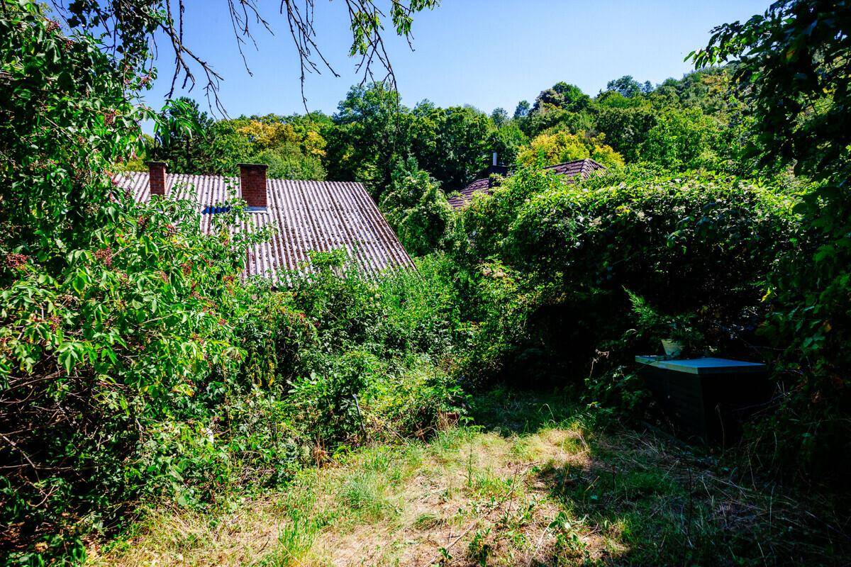 oberer Garten