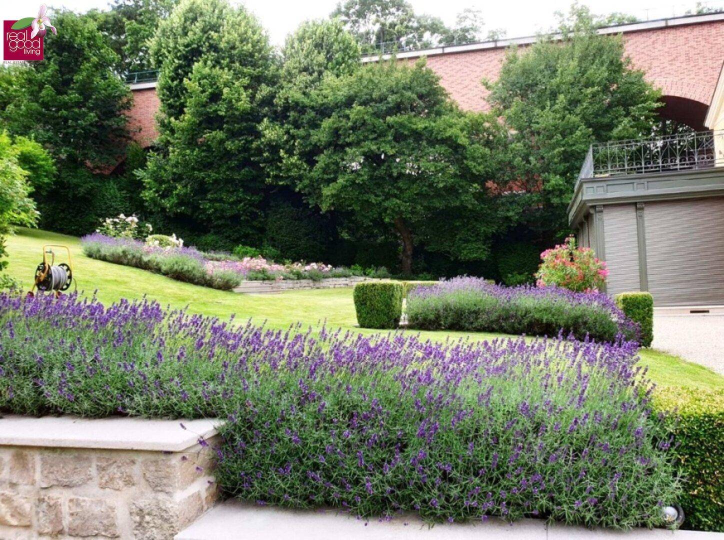 Blühende Lavendelbeete im weitläufigen Garten mit terrassierten Bereichen und alter Steinmauer.