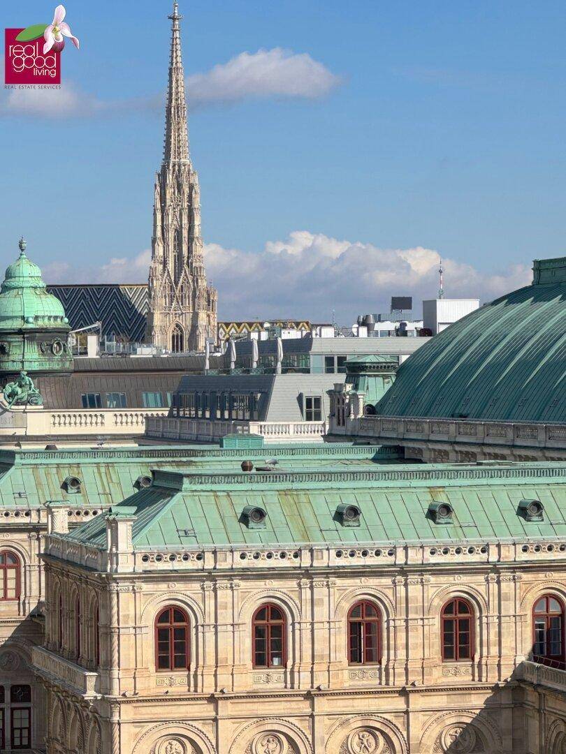 Detailansicht des historischen Gebäudes mit prächtiger Architektur und dem Stephansdom im Hintergrund.