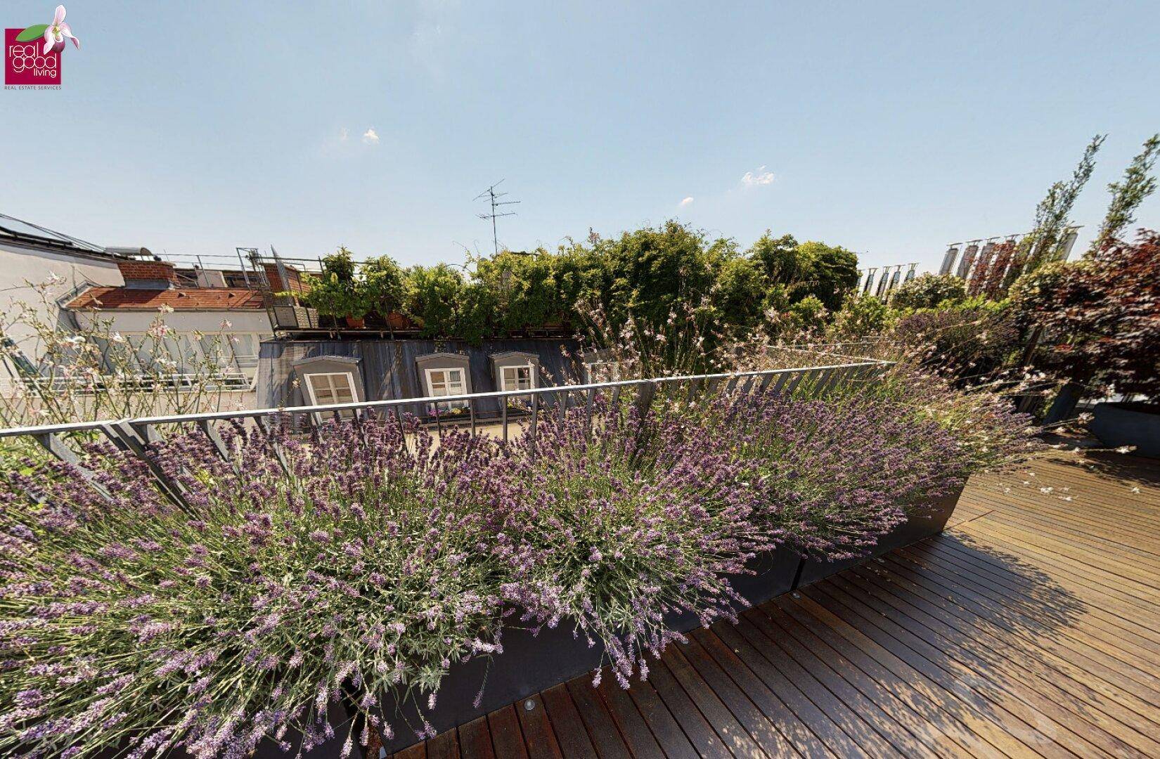 Begrünte Dachterrasse mit Holzdeck und blühenden Pflanzen, bietet eine ruhige Oase.
