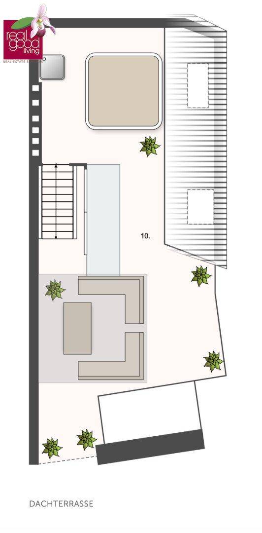 Grundriss der Dachterrasse mit Sitzbereichen und Pflanzen.