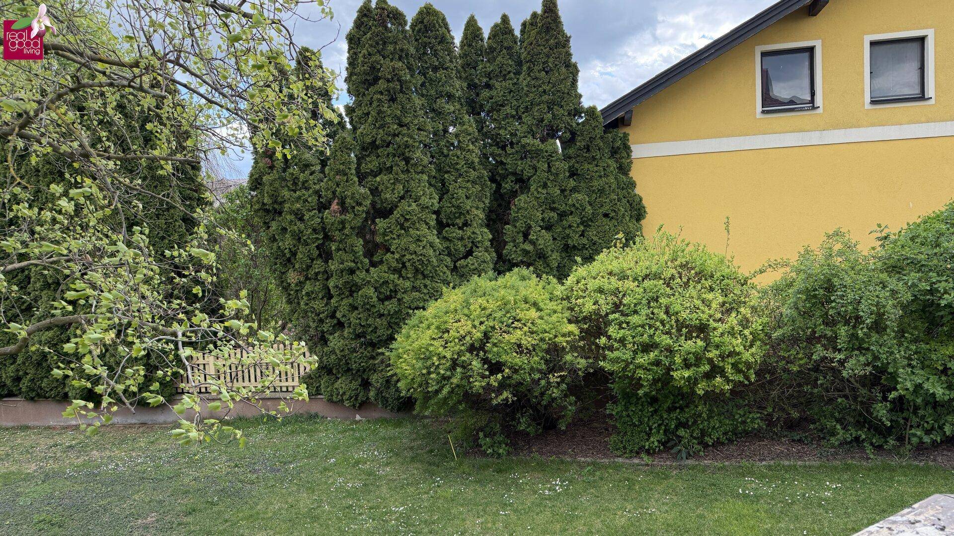 Gelbes Haus mit grünen Hecken und Bäumen im Vorgarten unter einem leicht bewölkten Frühlingshimmel.