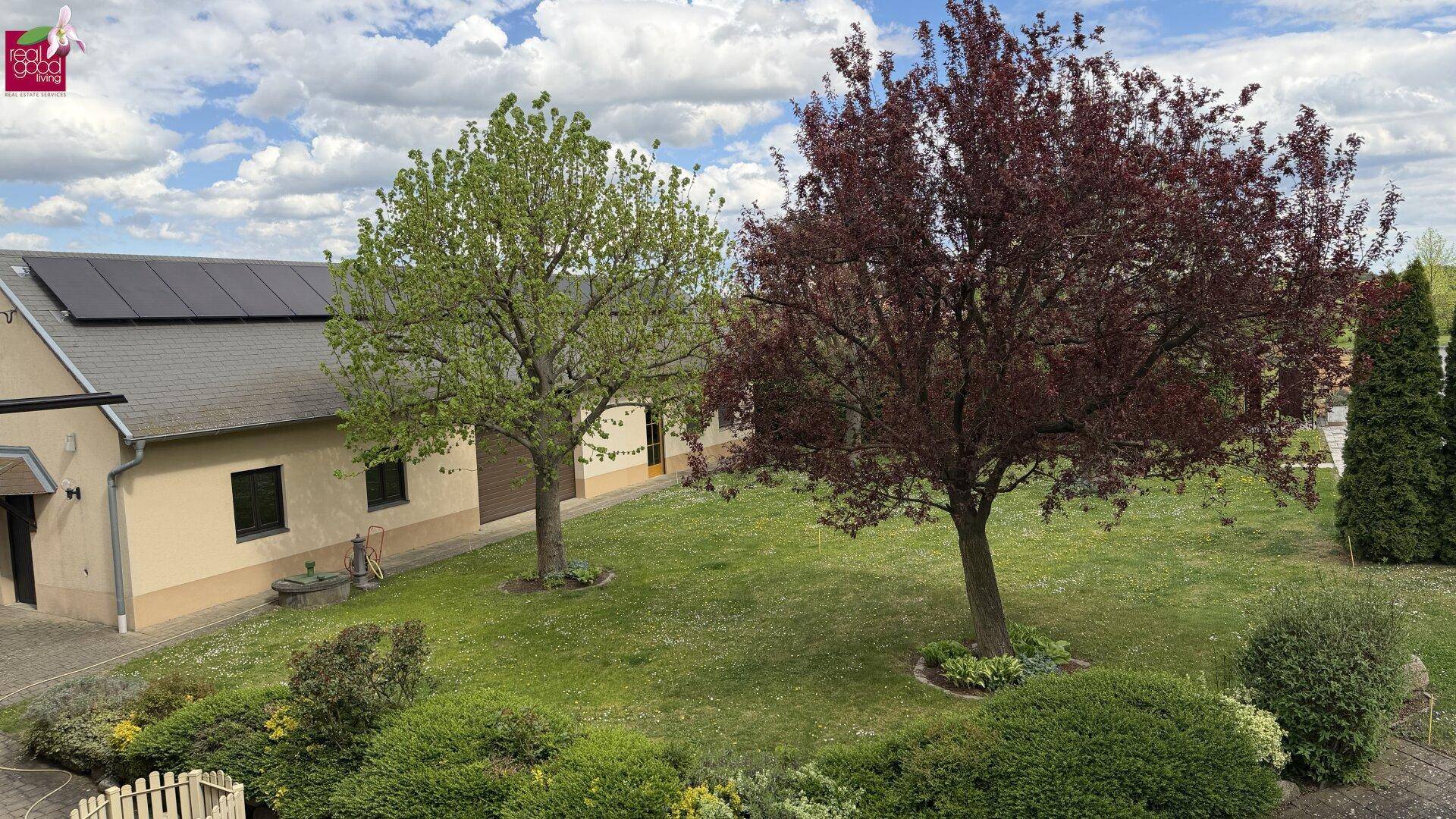 Großer Garten mit zwei markanten Bäumen und einem Gebäude mit Solaranlage im Hintergrund.