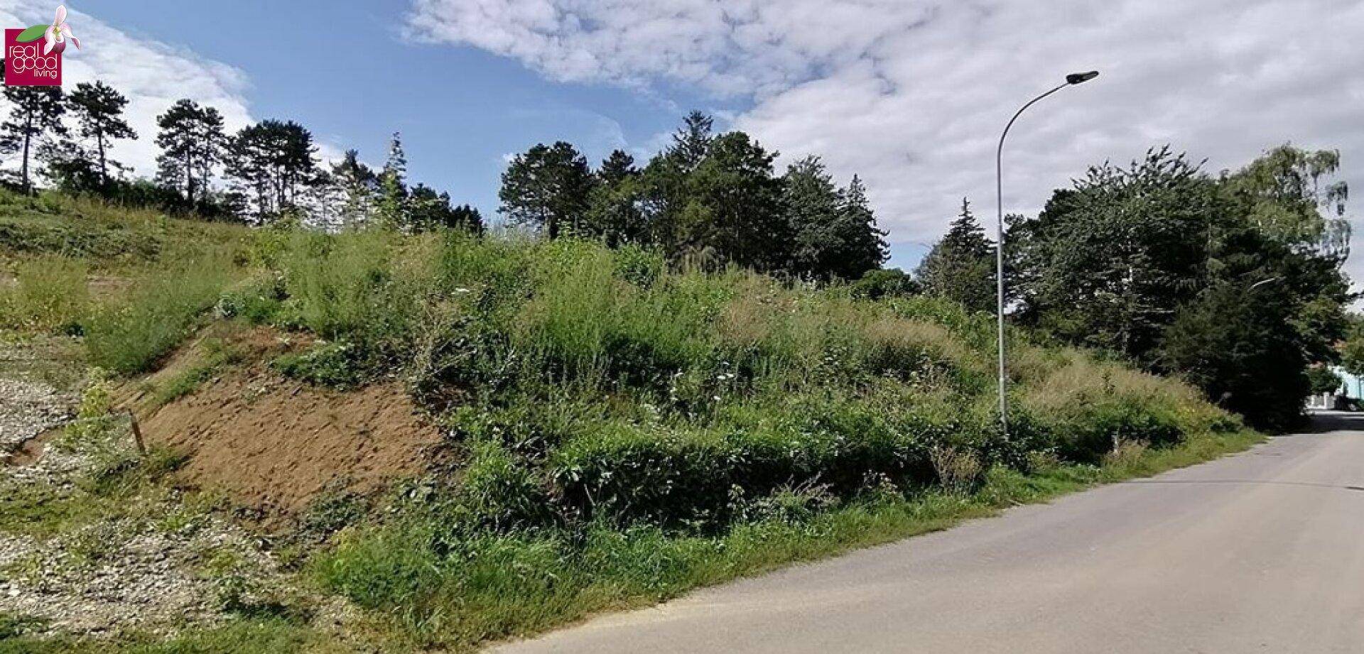 BEWILLIGTES BAUTRÄGERPROJEKT IM HERZEN DES WIENERWALDES – pohled 5