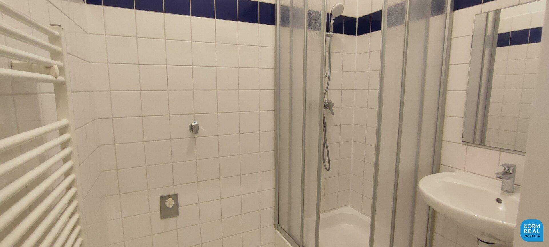 Modernes Badezimmer mit Duschkabine, Waschbecken und beheiztem Handtuchhalter, in Weiß und Blau gefliest.