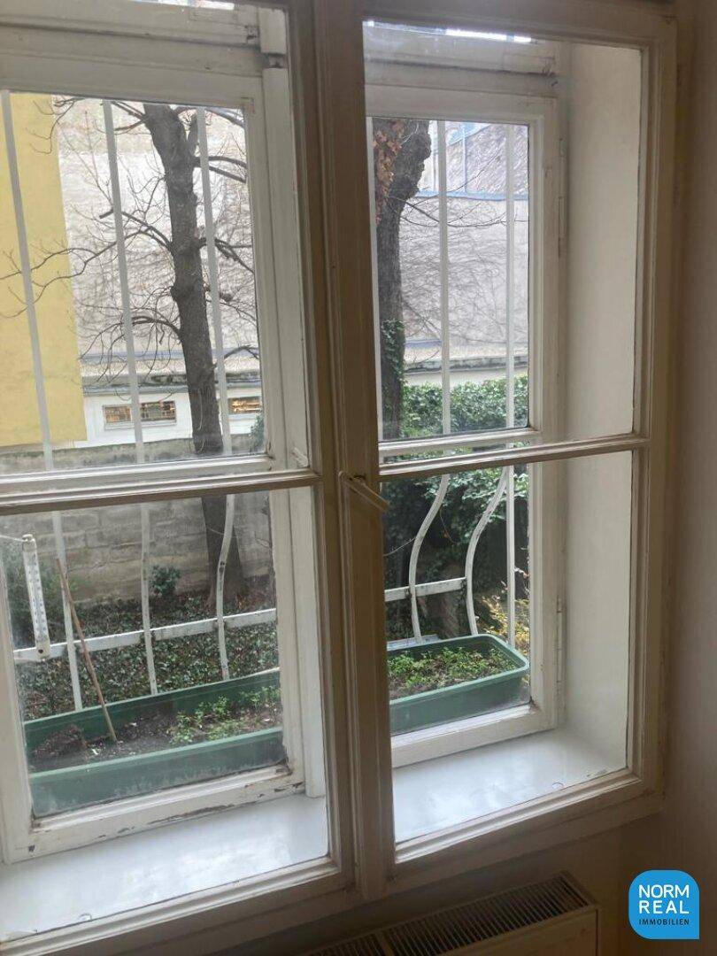 Blick Küche Garten