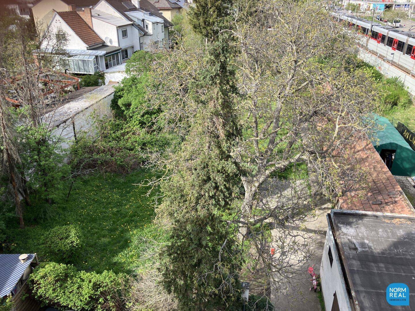 Blick Terrasse zum Garten