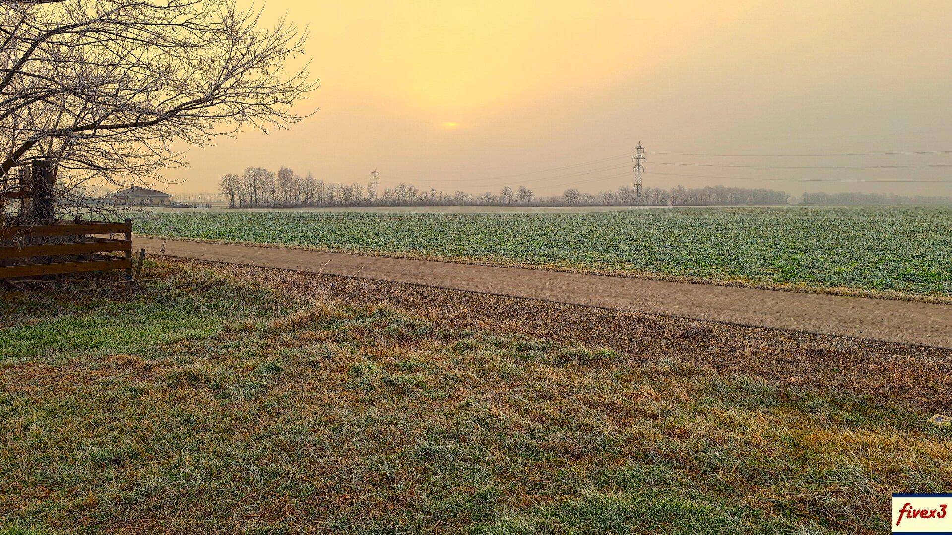 Weitläufige Landschaft mit Feldweg, Bäumen und Stromleitungen im Hintergrund bei Sonnenaufgang oder -untergang.